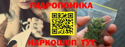 трава Кунгур