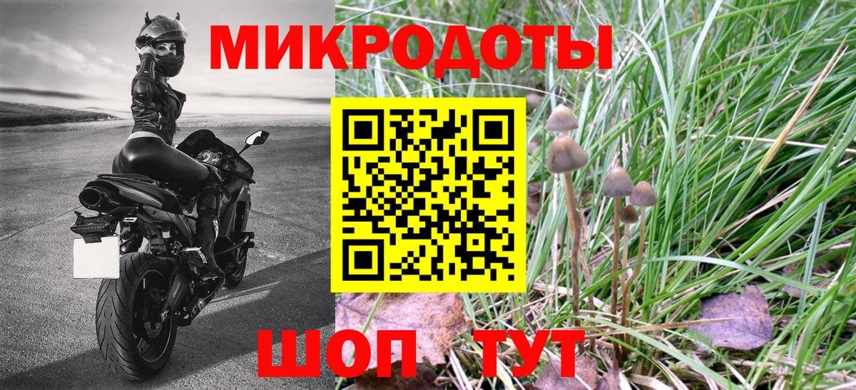Псилоцибиновые грибы GOLDEN TEACHER Киров